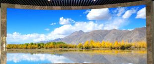 同是4K屏，為什么專業LED廣告機能比電視便宜30%？供應鏈成本大揭秘”