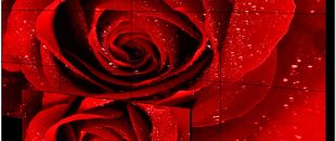 店員瘋狂發傳單，顧客卻頭也不抬？LED廣告機‘強制吸睛’的5個心機設計”